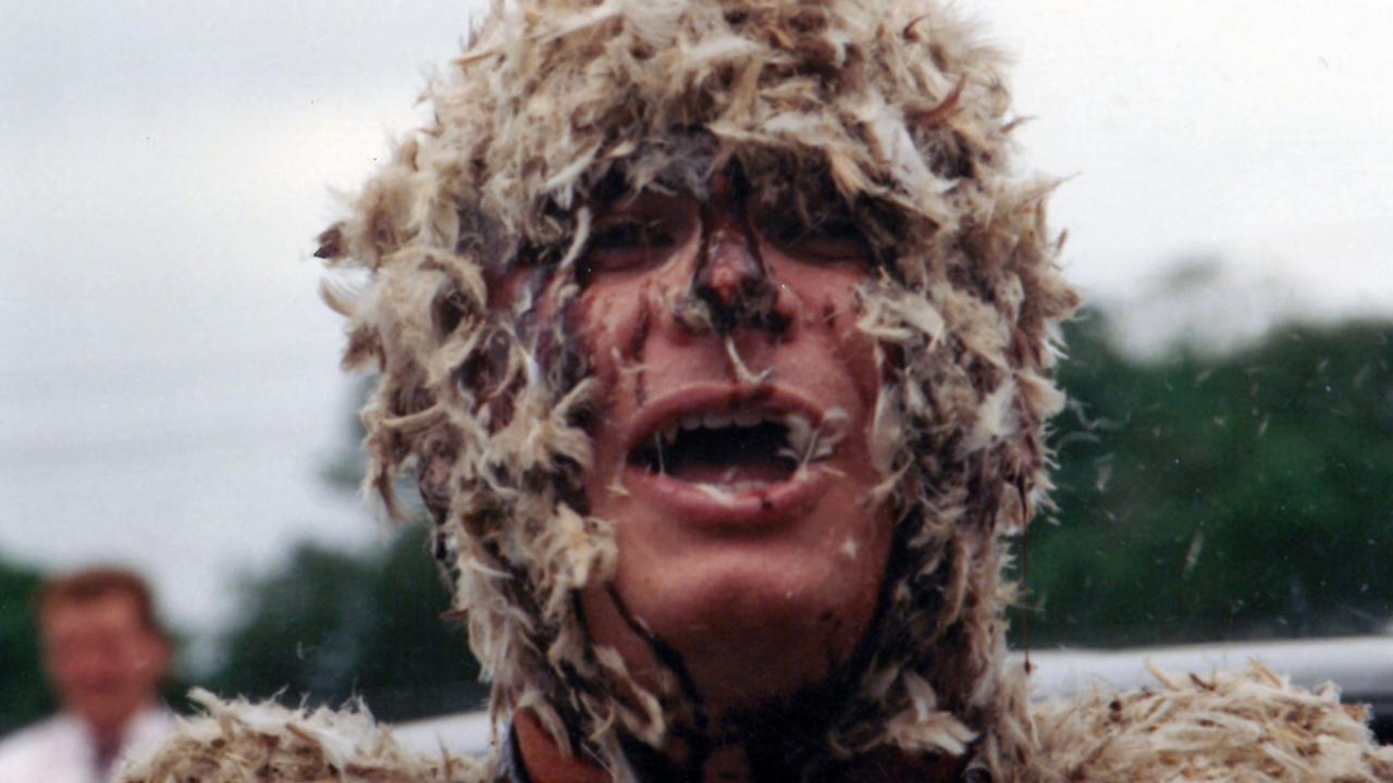 Πίσσα και πούπουλα | Το Κουτί της Πανδώρας