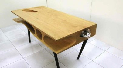 catable01