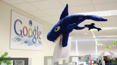 google shark
