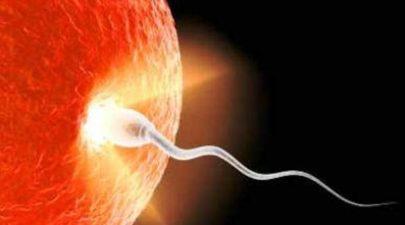 news sperm check fertility test