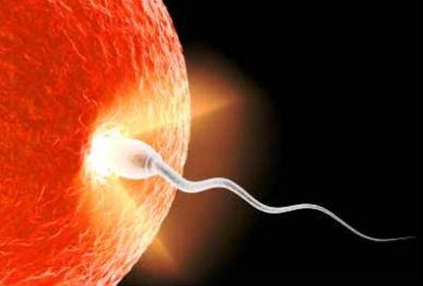 news sperm check fertility test