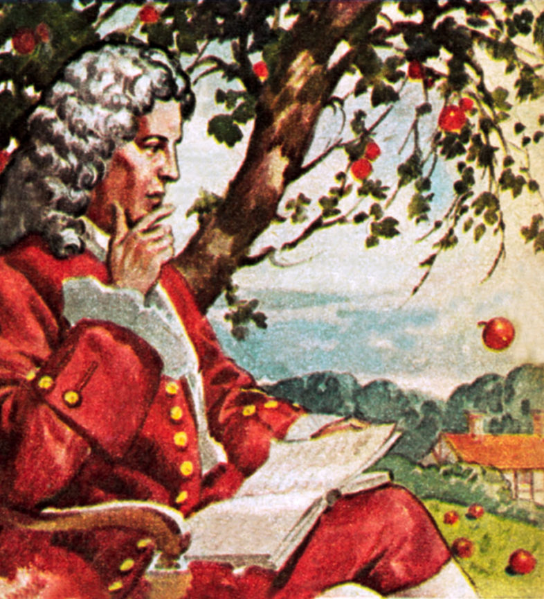 newton apple