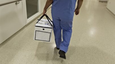 organs transplant 011