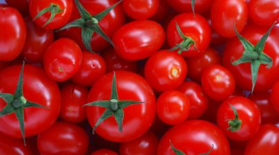 tomatoes