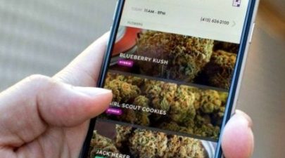 app marijuana