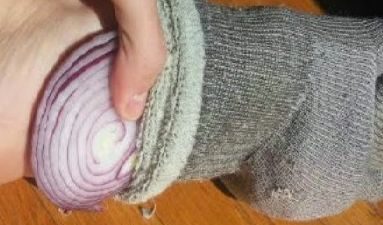 onion sock