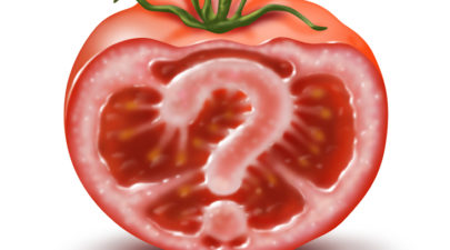 tomato 0