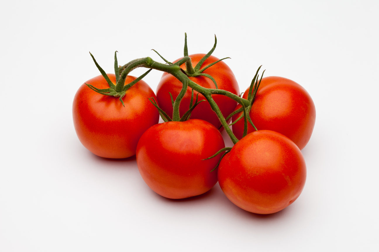 tomato dr gls merlice 004