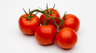 tomato dr gls merlice 004
