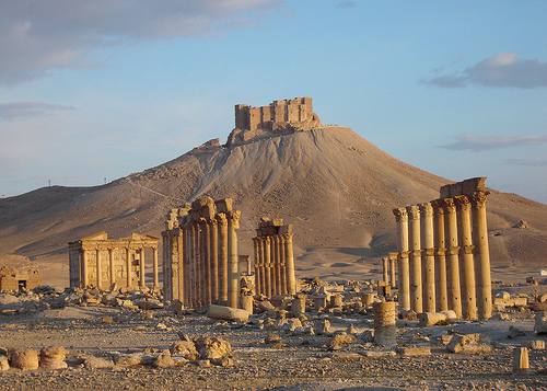 palmyra