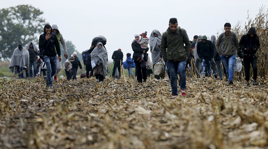 refugees 14