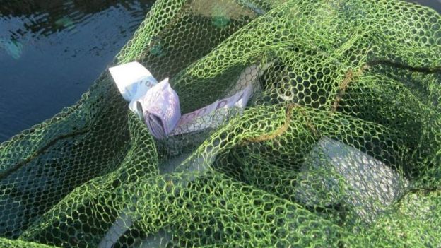 thousands of euros in a fishing net - 7 December 2015