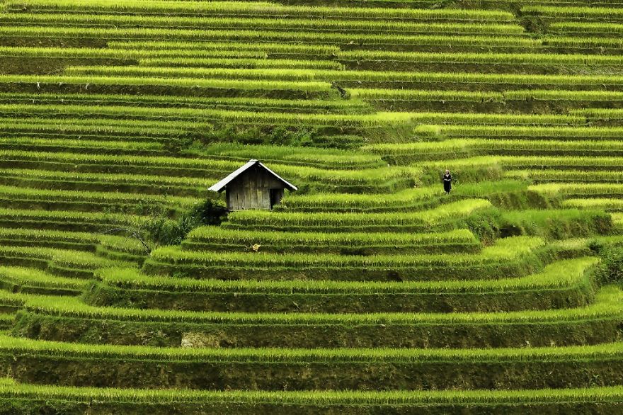 vietnam mosaic of contrasts by photographer rehahn 3 880