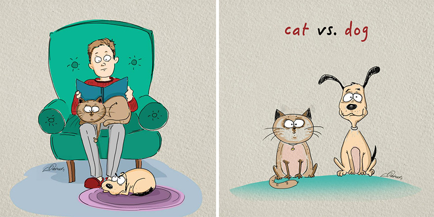 cats vs dogs funny illustrations bird born 1