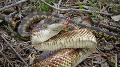 576a85591dc524ad4c8b45fa