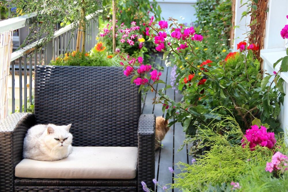 577763581dc52491468b4afb