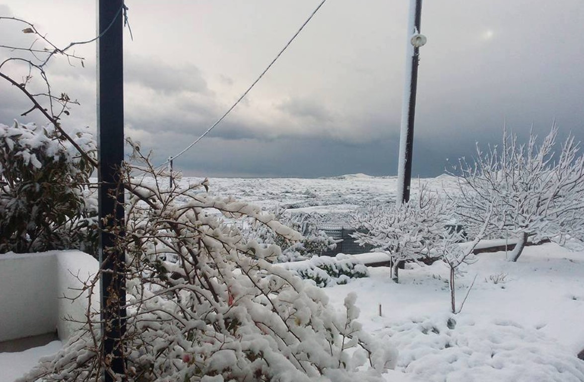 58750a301dc524ab738b4653 1