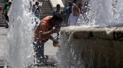 5955e5951dc5248e1e8b4631