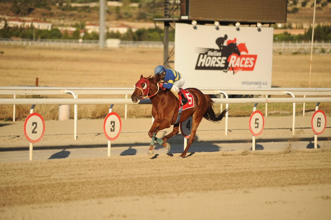 595ca3401dc5244c4a8b4936