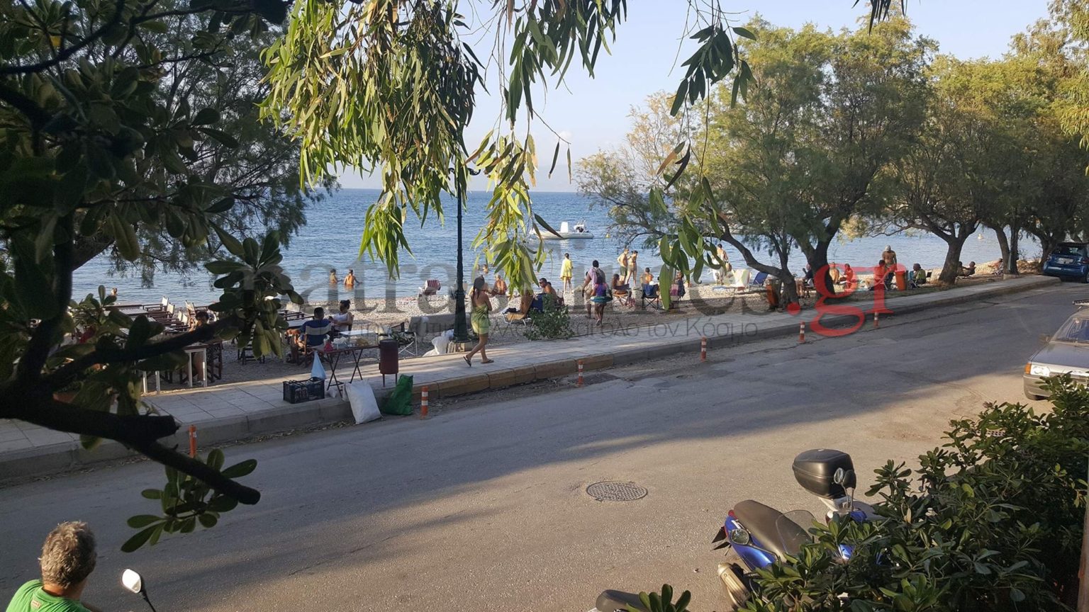 5977842f1dc524466f8b49f6