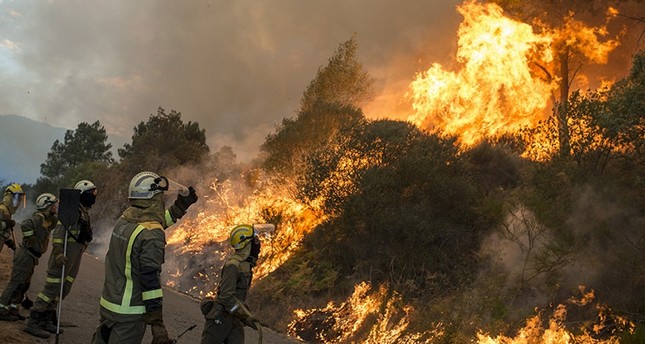 597cba4e1dc5240a0d8b4659