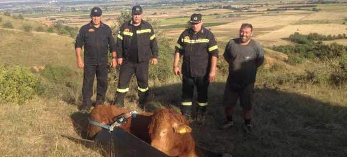 5984a0b21dc52487738b45b0