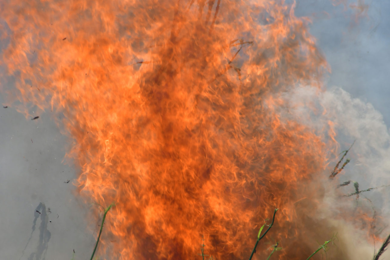 5993082f1dc5244d018b458c 2