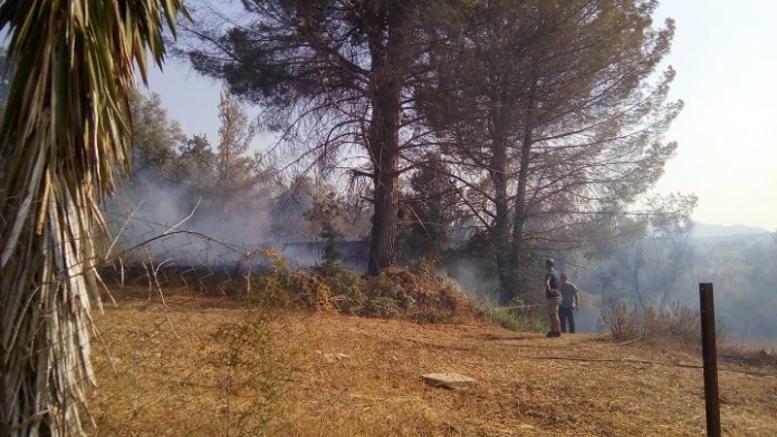 599c91051dc524bc288b4568