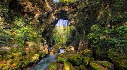 5a7ca4eb1dc52475688b46e0