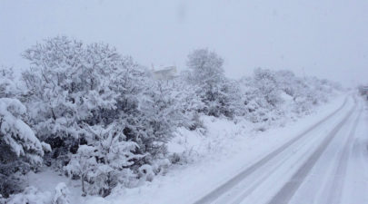 5a92860b1dc5244f5f8b4584