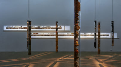 5ae068d01dc52415048b45c9