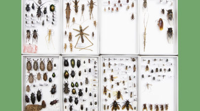 5ae321361dc524e8728b456b