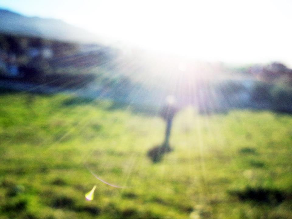 5b4ce3841dc524f3258b458d