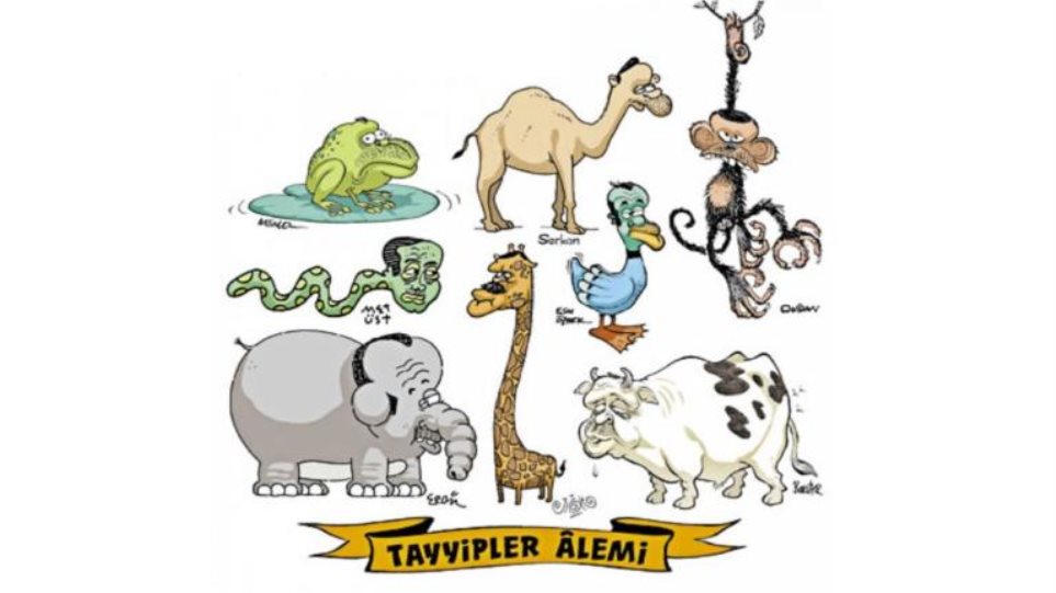 5b4f151a1dc524e50f8b46a8