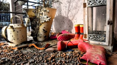 5b5b0f871dc52484398b45fd 1