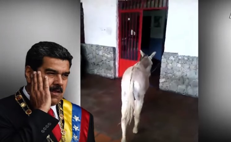 5b9ff2521dc524d75a8b456d