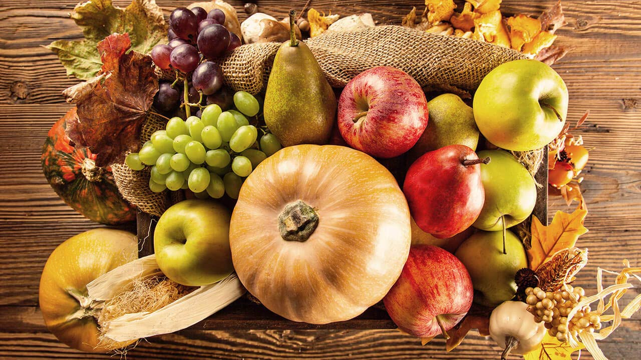 nm fall produce feature