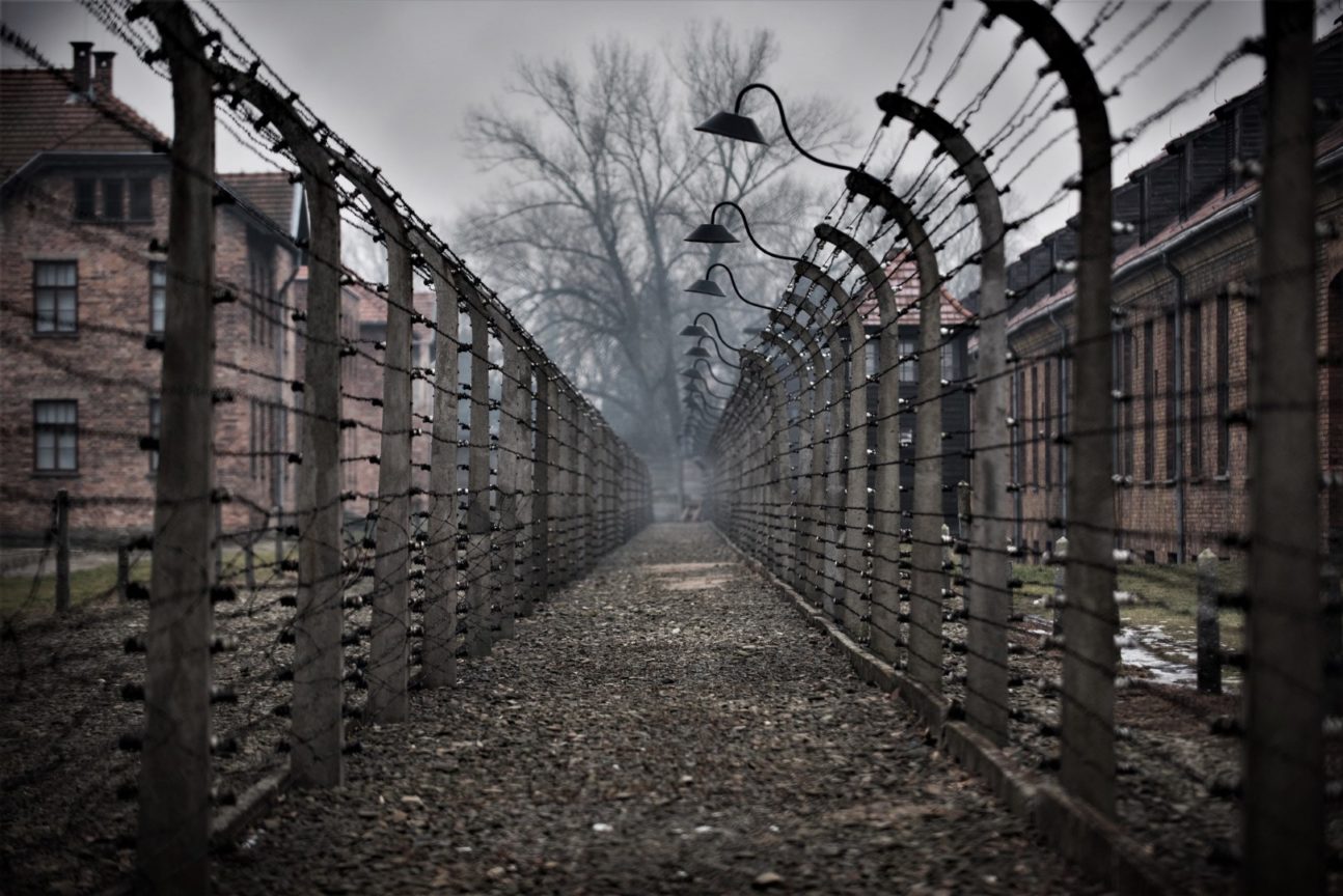 poland holocaust law