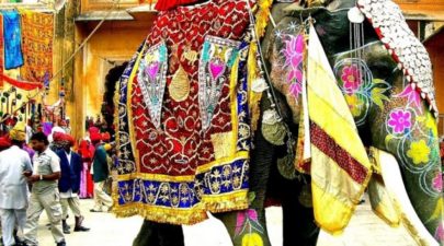 d4acc64ae59308f18df1f000b19049cd XL