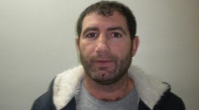 nekros listis tirana.png