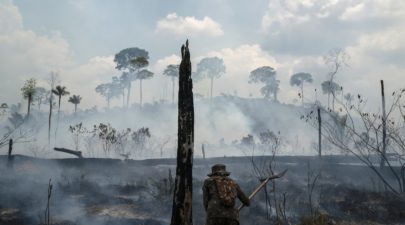 AP Brazil Amazon Fires