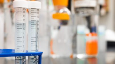 lab