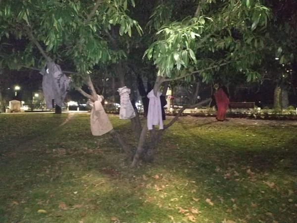 Έδεσσα: Μπουφάν στα δέντρα για να μη μείνει κανείς στο κρύο