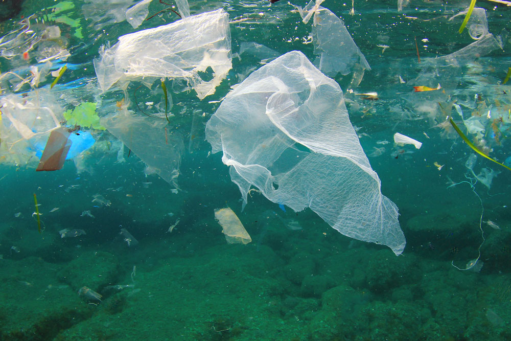 bags plastics ocean ap