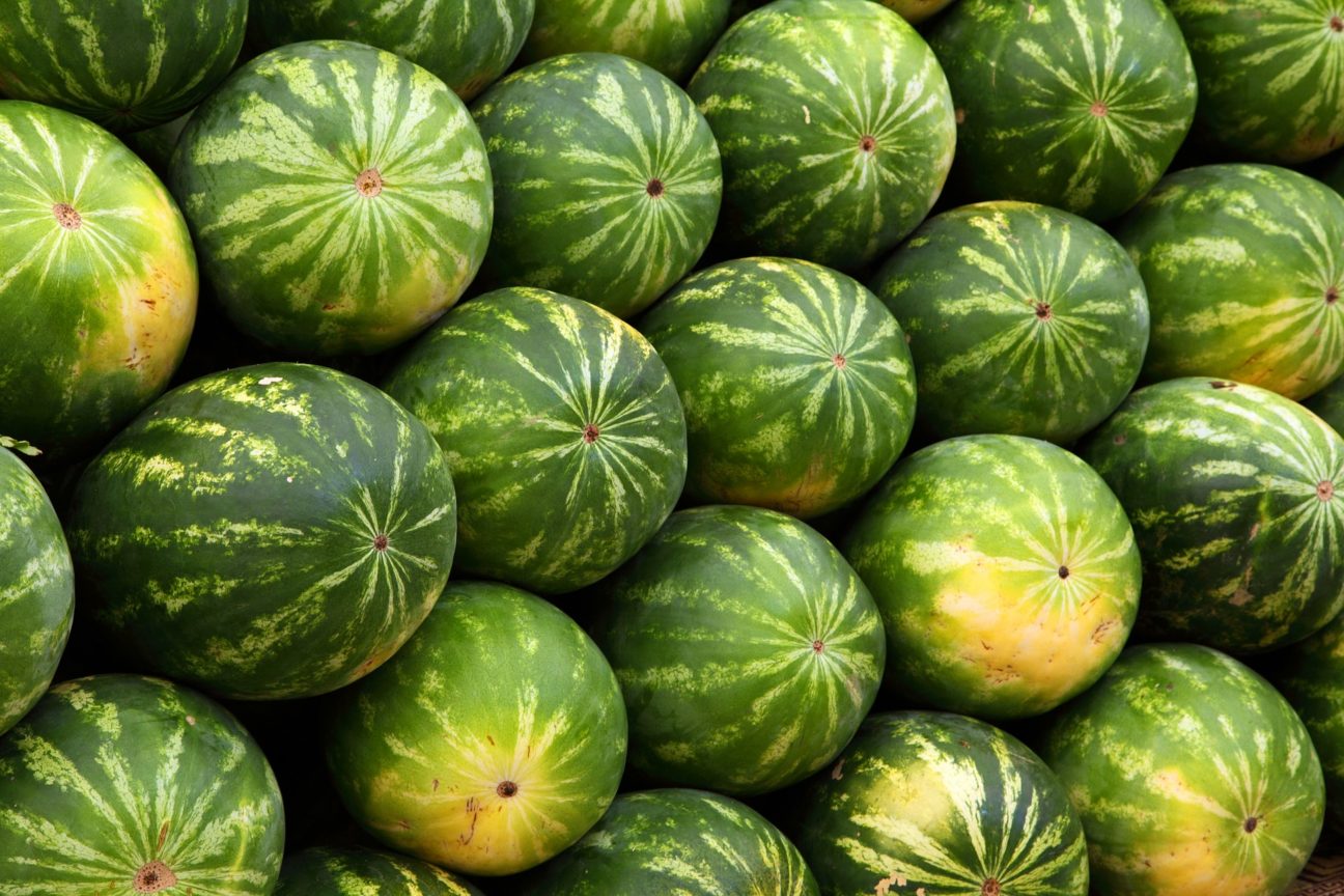 watermelon 2636 1920