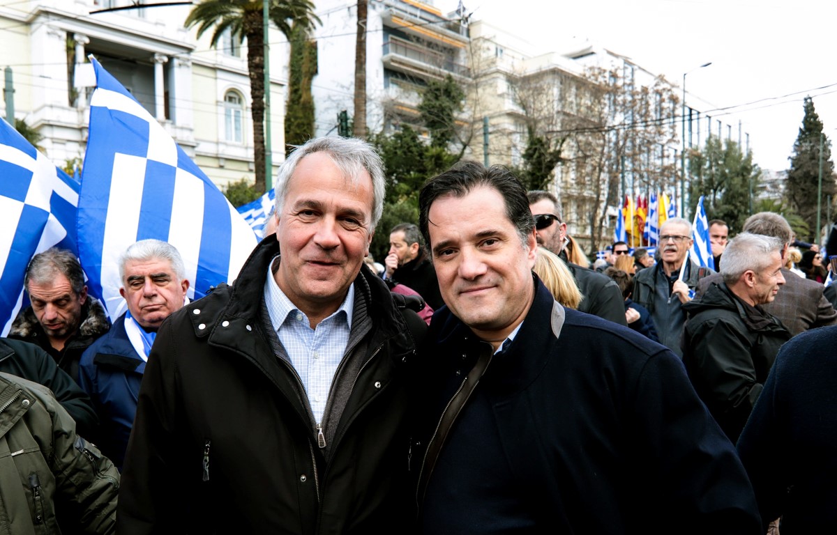 adonis voridis Medium