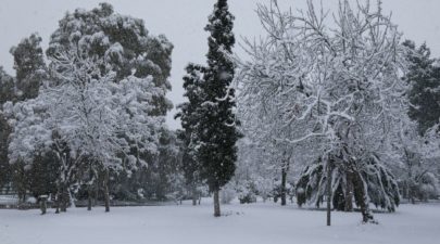 5245378