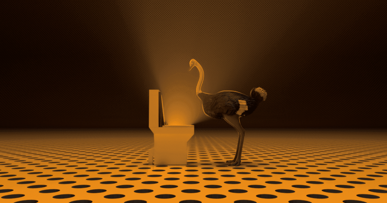 ostrich politics