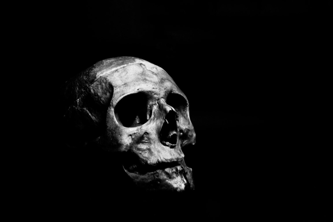 ahmed adly 1PtM6b85sdw unsplash