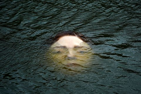 FAYNrWDVgAIyM6v